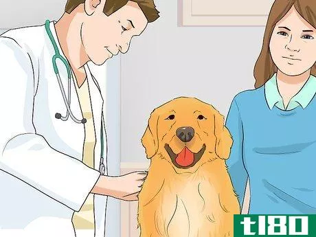 Image titled Cope With Canine Epilepsy Step 8