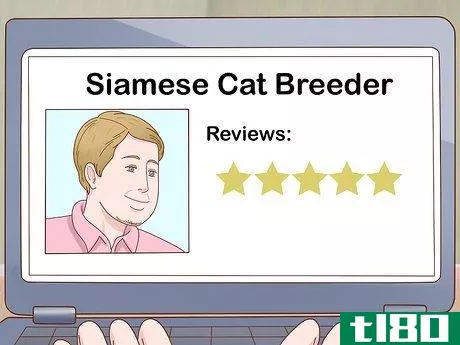 Image titled Decide if a Siamese Cat Is Right for You Step 10