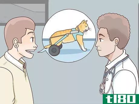 Image titled Deal with a Paralyzed Cat Step 10