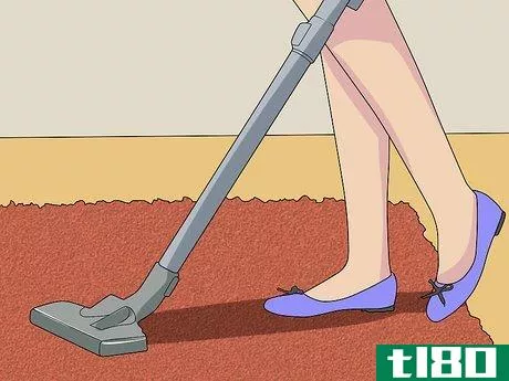 Image titled Clean Shag Carpet Step 11