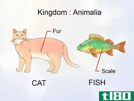 Image titled Classify Animals Step 4
