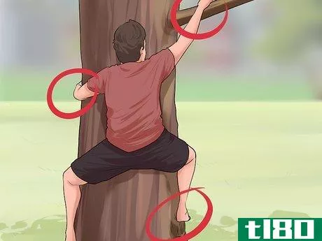 Image titled Climb a Tree Step 6