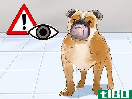 Image titled Cope With Canine Epilepsy Step 1