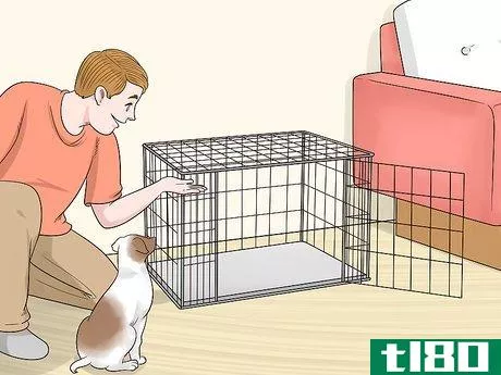 Image titled Crate Train a Puppy During the Day Step 11
