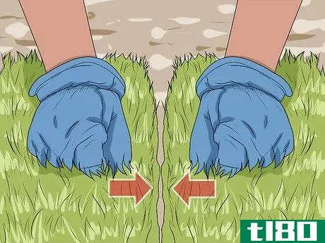 Image titled Choose Sod for Your Yard Step 15