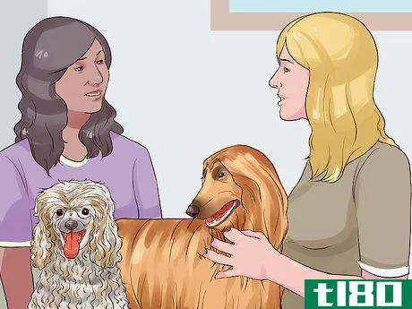Image titled Choose a Hypoallergenic Dog Step 7
