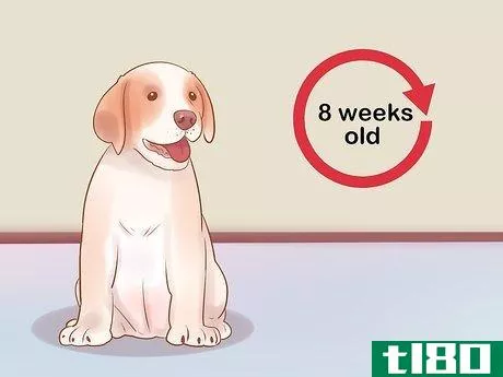 Image titled Choose a Dog Step 14