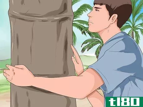 Image titled Climb a Coconut Tree Step 4