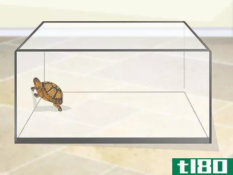 Image titled Create an Indoor Box Turtle Habitat Step 4