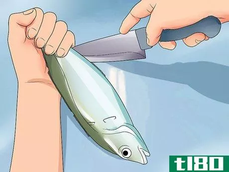 Image titled Clean_Gut a Fish Step 5
