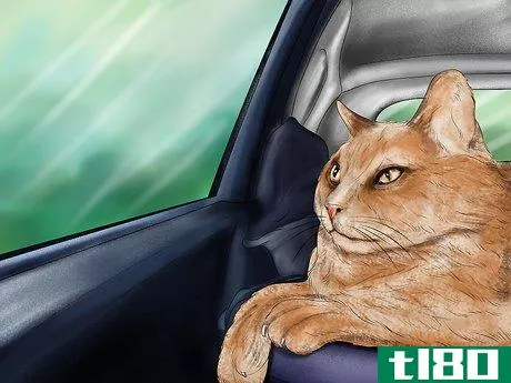 Image titled Deal with Car Sickness in Cats Step 1