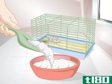 Image titled Clean a Long Haired Hamster Step 2