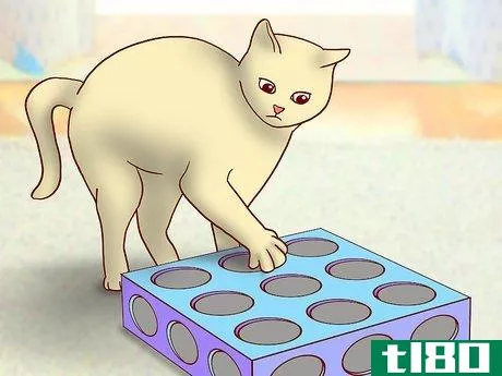 Image titled Choose Toys for a Senior Cat Step 1