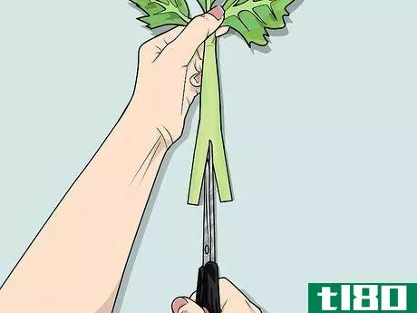 Image titled Change the Color of a Celery Stalk Step 9
