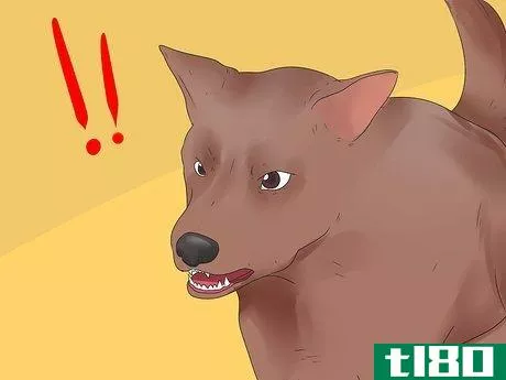 Image titled Make a Dog Stop Biting Step 2