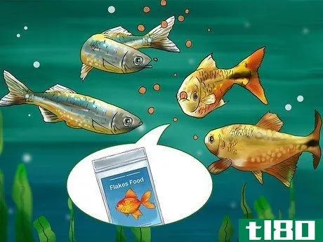 Image titled Choose Fish for a Freshwater Aquarium Step 5