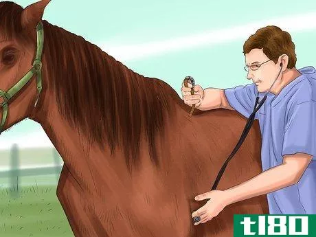 Image titled Recognize and Treat Laminitis (Founder) in Horses Step 4