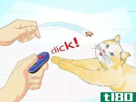 Image titled Clicker Train a Cat Step 7