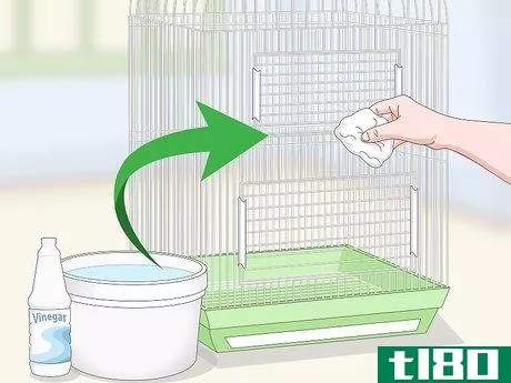 Image titled Clean a Caique Parrot Cage Step 9