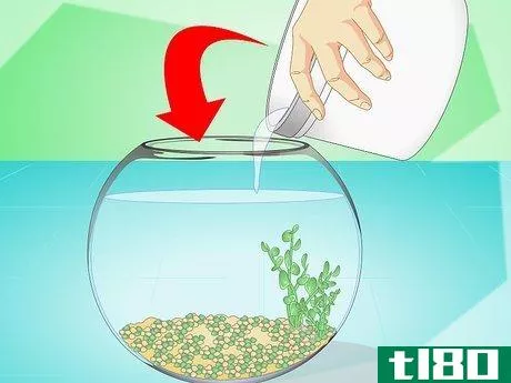 Image titled Change the Water in a Fish Bowl Step 11