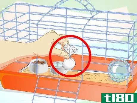 Image titled Clean a Guinea Pig Cage Step 17
