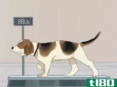 Image titled Cope With Canine Epilepsy Step 4