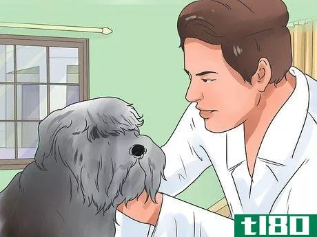 Image titled Check if Your Dog Is Healthy and Happy Step 12