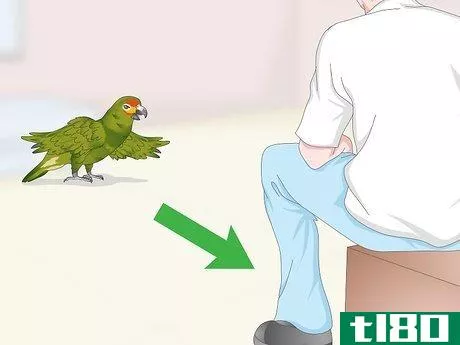 Image titled Deal with an Aggressive Amazon Parrot Step 16