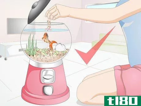 Image titled Creatively Decorate a Freshwater Fish Tank Step 3