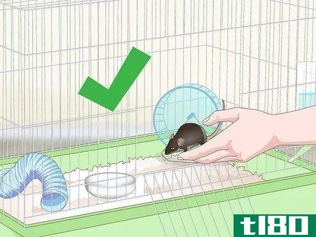 Image titled Clean a Mouse Cage Step 12