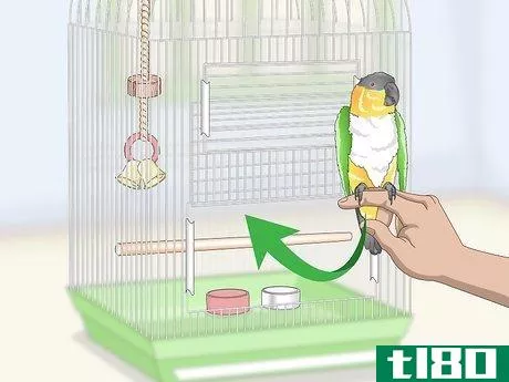 Image titled Clean a Caique Parrot Cage Step 12