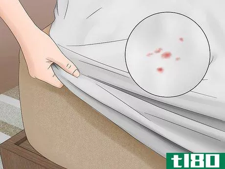 Image titled Check for Bedbugs Step 5