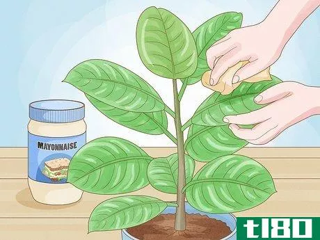 Image titled Clean Plant Leaves Step 6