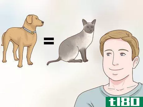 Image titled Decide if a Siamese Cat Is Right for You Step 2