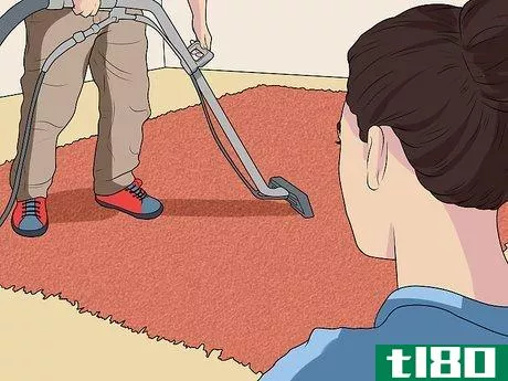Image titled Clean Shag Carpet Step 12