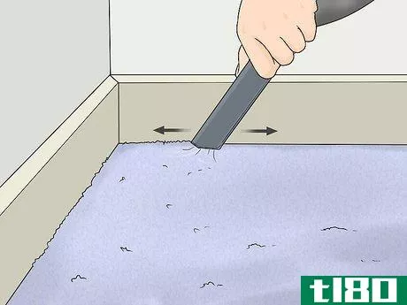 Image titled Clean Carpet Edges Step 10