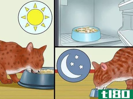 Image titled Cook for Cats Step 16