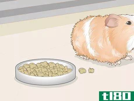 Image titled Change a Guinea Pig's Diet Step 5