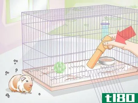 Image titled Clean Out a Guinea Pig's Hutch Step 12