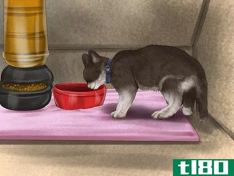 Image titled Choose the Right Place to Feed Your Cat Step 6