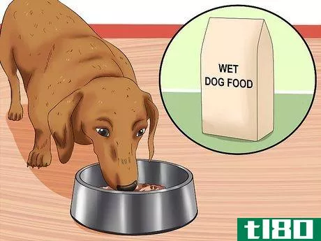 Image titled Cure Frequent Dog Vomiting Step 11