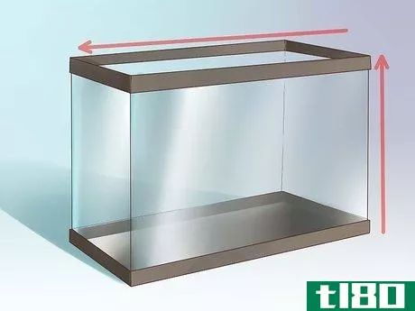 如何为您的鱼缸创建一个地下过滤器(create an undergravel filter for your fishtank)
