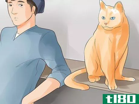 Image titled Know if Your Cat Is Dying Step 2