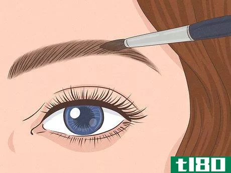 Image titled Cover Tattooed Eyebrows with Makeup Step 7