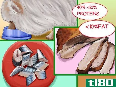 Image titled Choose All Natural Pet Food for Pomeranians Step 1