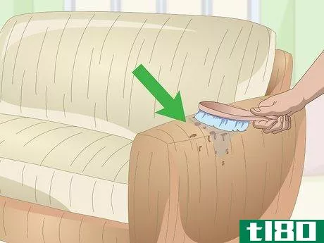 如何清洁雪尼尔沙发(clean a chenille sofa)