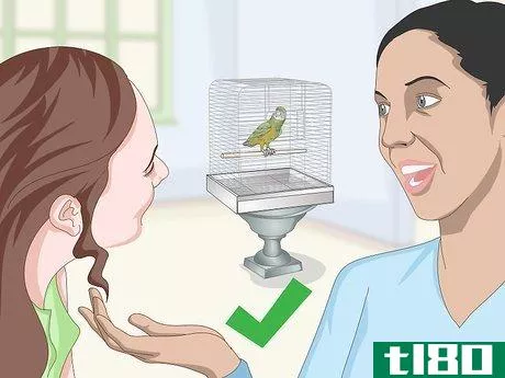 Image titled Deal with a Fearful or Stressed Senegal Parrot Step 12