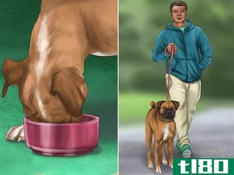 Image titled Comfort Your Dog Step 9