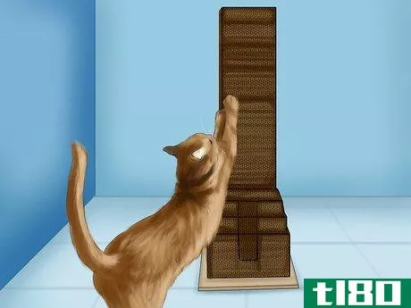 Image titled Choose a Scratching Post or Pad for Your Cat Step 7