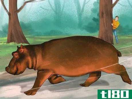 Image titled Deal With a Hippo Encounter Step 8